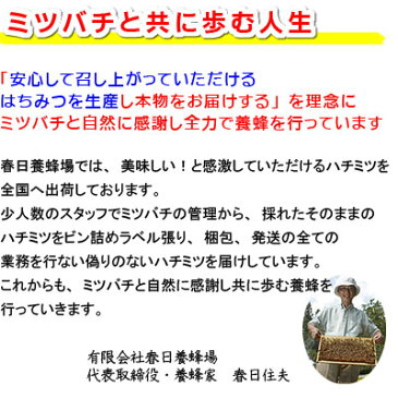 国産はちみつ(純粋) 【送料無料】お試しセット90g入り国産はちみつ3種セット★はちみつ生産直売★【春の里山・初夏の里山・伊吹百草】