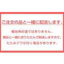 ギフト プレゼント 用 手提げ袋 ＜商品と一緒にお届け＞同梱サービス 袋を買いに行けない方のための簡易的な袋です