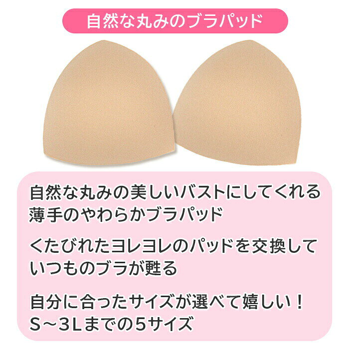 ブラパッド カップ パット 薄手 三角 自然 盛らない 10セット 大きいサイズ 小さい...