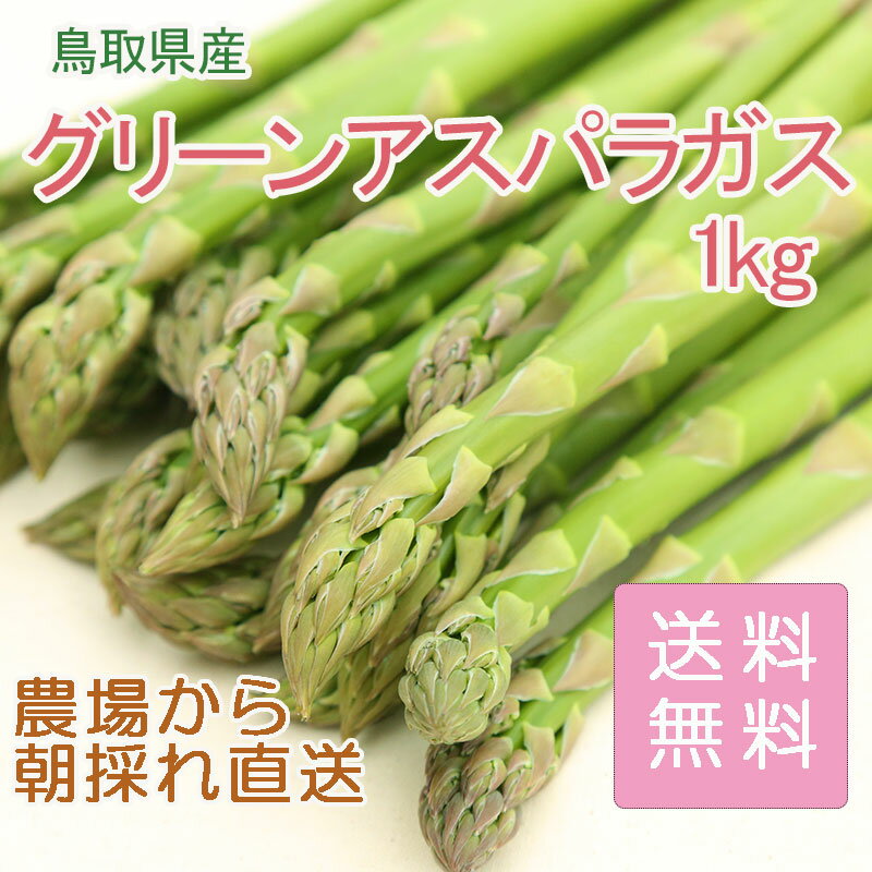 当店農場生産！鳥取県産グリーンアスパラガス たっぷり1kg！1週間以内に発送！甘い！クール便送料無料！