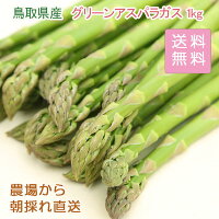 当店農場生産！鳥取県産グリーンアスパラガス たっぷり1kg！1週間以内に発送！甘い...