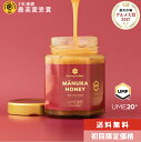 最大1000円OFFクーポン配布中!マヌカハニー UMF20+ はちみつ【250g】【初回限定価格 & 送料無料】マヌカ 非加熱 ハチミツ 蜂蜜 生はちみつ 1...