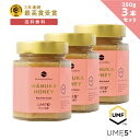 最大1000円OFFクーポン配布中!マヌカハニー UMF5+ 【250g 3個セット MGO83+】 はちみつ 非加熱 100%純粋 生マヌカ ハニーマザー オ...