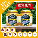 【全品ポイント10倍!要エントリー】ハニーマザー マヌカハニーUMF10+ 500g 【2個セット】非加熱の100%純粋生マヌカ はちみつ