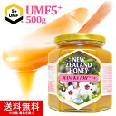【最大500円OFFクーポン配布中】22日 朝9:59までマヌカハニー UMF5+ 500g (MGO83〜146相当) はちみつ 非加熱 100%純粋 生マヌカ ハニーマザー マヌカはちみつ 生はちみつ ハチミツ 蜂蜜