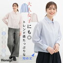 ■特別クーポン配布中■トップス ブラウス 長袖 シャツ ショート丈 無地 ストライプ レギュラーカラー 綿混 シンプル オールシーズン レディース Honeys...
