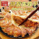【送料無料】餃子の王様 生餃子 ぎょうざ メガ盛 餃子 ギョウザ 100個入 肉餃子 50個 野菜餃子 50個 最大総重量約1.8キロ スタミナ餃子 焼餃子 焼...