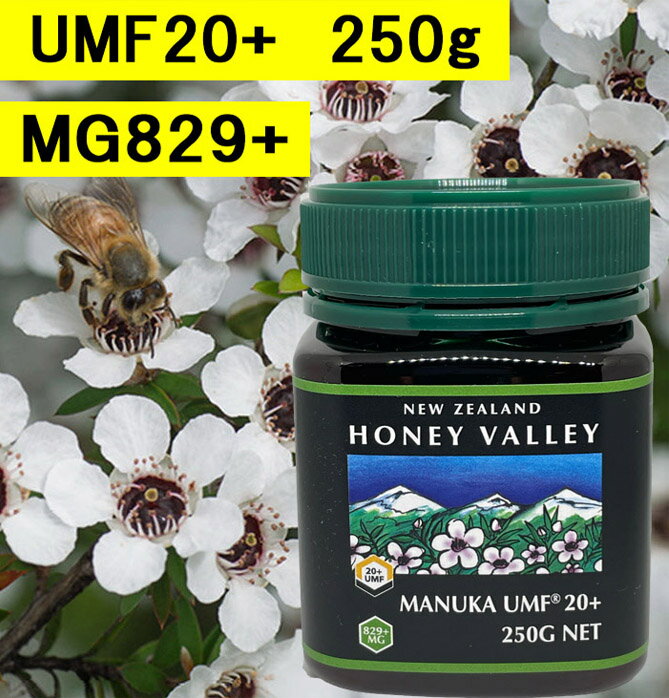 【送料無料】マヌカハニーUMF20 (250g)【無添加天然蜂蜜（はちみつ)】【UMF値検査証明書写付】