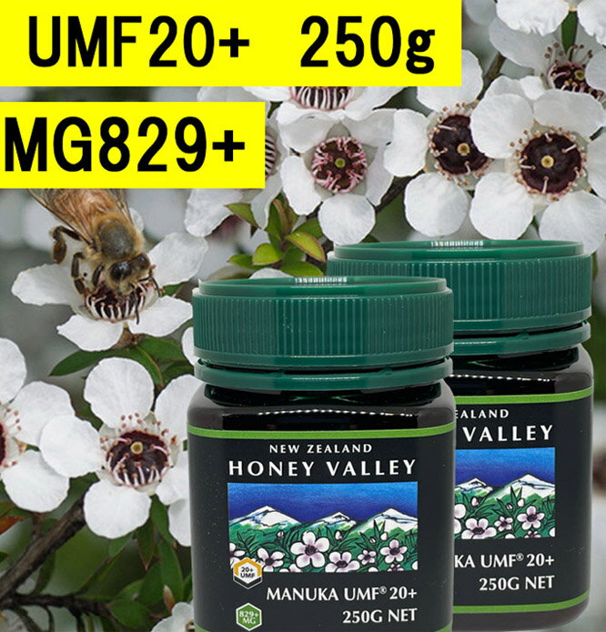 【送料無料】マヌカハニーUMF20 (250g 2瓶セット)【無添加天然蜂蜜（はちみつ)】【UMF値検査証明書写付】