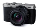 Panasonic ミラーレス一眼カメラ DC-S9K-S