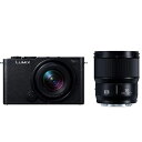 Panasonic LUMIX S9 広角ズームレンズ・単焦点レンズキット DC-S9W-K