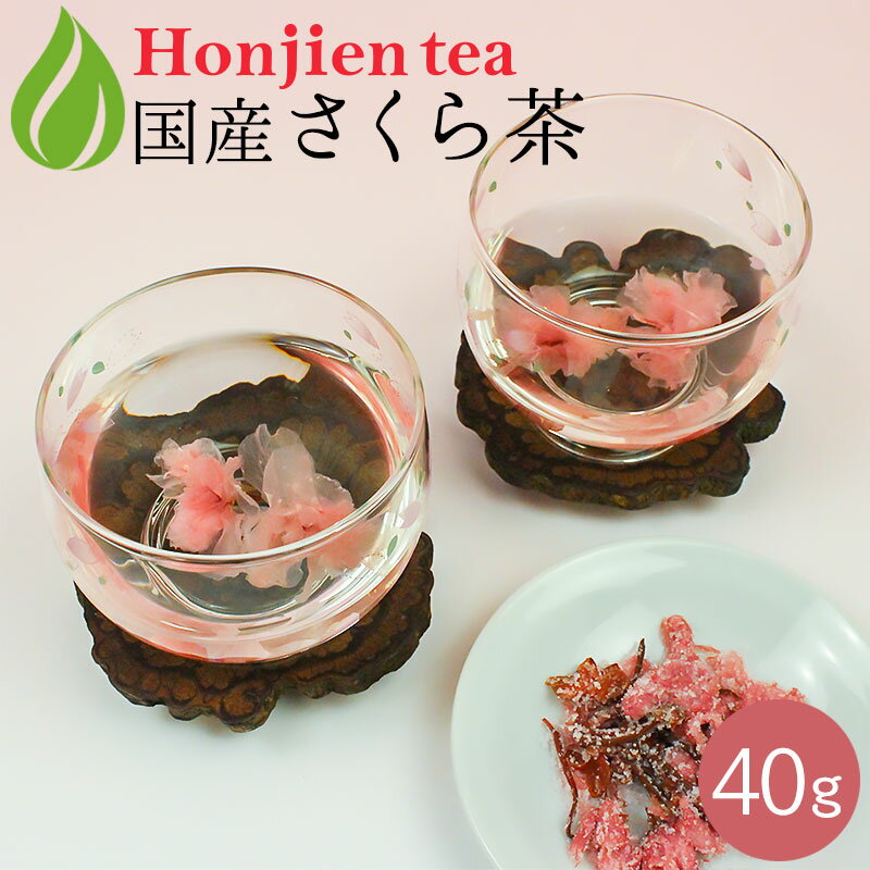 ● さくら茶・桜茶 40g ほんぢ園 ＜ サクラ茶 花 cherry tea さくら湯 春 おもてなし ＞ 送料無料 ／セ／