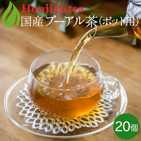 ● プーアル茶 国産 ダイエットプーアール茶 5g x 20p （ 100g ポット用・ティーバッグ大） ほんぢ園 ＜ 低カフェイン ＞ 送料無料 ／セ／