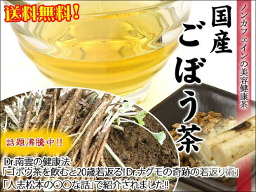 ● 国産 ごぼう茶 1.5g x 20p（ 30g ティーバッグ ） ほんぢ園 ＜ ゴボウ茶 ごぼう茶 ダイエット ノンカフェイン ＞ 送料無料 ／セ／