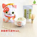 茶道具 セット 初心者 抹茶セット お招き5点セット 三毛猫 茶道 抹茶 茶筅 茶碗 携帯茶道具 野点 巾着 親子 【別倉庫発送】【返品交換不可】