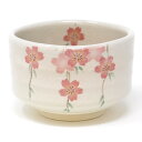 茶道具 抹茶茶碗 美濃焼 茶碗 しだれ桜 お茶碗 日本製 国産 抹茶碗 抹茶椀 茶わん 春 はる 茶道 和食器 うつわ 器 (M-1422)