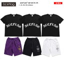ACE FLAG 上下セット 半袖 ブランド Tシャツ ハーフパンツ メンズ 春夏用 全3色 大きいサイズ エースフラッグ セットアップ おしゃれ かっこいい ...
