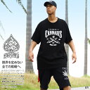 ACE FLAG 上下セット 半袖 ブランド Tシャツ ハーフパンツ メンズ 春夏用 全3色 大きいサイズ エースフラッグ セットアップ バッズ 大麻 マリファ...