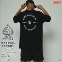 ACE FLAG 上下セット 半袖 ブランド Tシャツ ハーフパンツ メンズ 春夏用 全2色 大きいサイズ エースフラッグ セットアップ ナイロンパンツ 大麻 ...