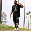 ACE FLAG 上下セット 半袖 ブランド Tシャツ ハーフパンツ メンズ 春夏用 黒 グレー 大きいサイズ エースフラッグ セットアップ 2Pac 馬蹄 大...