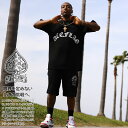 ACE FLAG 上下セット 半袖 ブランド Tシャツ ハーフパンツ メンズ 春夏用 黒 大きいサイズ エースフラッグ セットアップ 2Pac 馬蹄 ヘンプ H...