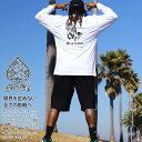 ACE FLAG 上下セット 長袖 Tシャツ ロンT ブランド スウェット ハーフパンツ メンズ 春秋冬用 全2色 大きいサイズ エースフラッグ セットアップ ...