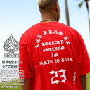 【69%OFF】ACEFLAG Tシャツ 半袖 メンズ レディース 春夏用 赤 大きいサイズ ビッグシルエット エースフラッグ Pablo 英字ロゴ シンプル ...