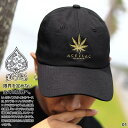 【50%OFF】 ACEFLAG キャップ メンズ レディース 春夏秋冬用 黒/白 エースフラッグ 帽子 cap ローキャップ 浅め ベースボールキャップ おし...