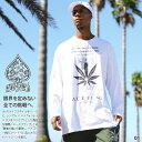 ACEFLAG ロンT ストリート メンズ レディース 白 黒 大きいサイズ エースフラッグ Tシャツ 長袖 おしゃれ 大麻 マリファナ ヘンプ ロゴ b系 ヒップホップ ファッション ダンス ストリート系 ブランド 新作 AF-TL-LT-018