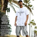ACEFLAG 上下セット 半袖 ブランド Tシャツ ハーフパンツ 上下 メンズ 春夏用 白/黒 大きいサイズ エースフラッグ セットアップ ゆったり 英字 英...