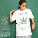 【50%OFF】ACEFLAG Tシャツ 半袖 レディース 全4色 大きいサイズ エースフラッグ かわいい キュート シンプル 大麻 マリファナ ヘンプ ロゴ チカーノ ファッション ダンス ストリート系 ブランド 服 新作 AF-TS-TS-054