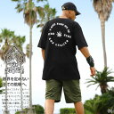 ACEFLAG 上下セット 半袖 ブランド Tシャツ チノパン ハーフパンツ 上下 メンズ 全6種 大きいサイズ エースフラッグ セットアップ リリック 大麻 ...