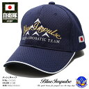 ブルーインパルス エンブレム メッシュ 識別帽 野球帽 帽子 CAP スポーツタイプ ローキャップ 防衛省 自衛隊 グッズ 航空自衛隊 空自 日章旗 金刺繍 刺繍 紺 航空祭 日の丸 国旗 PX売店 メンズ レディース JT-CA-LW-010