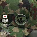 自衛隊 グッズ 陸上自衛隊 第1師団 缶バッジ 缶バッチ 戦闘服用 部隊章 日本製 バッジ 緑 陸自 東部方面隊 東京 練馬駐屯地 1D 1師団 OD色 部隊マーク 自衛隊バッジ 自衛隊バッチ ロービジ 富士山 桜 PX品 JT-KB-RI-010