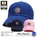 自衛隊 グッズ ブルーインパルス エンブレム 空自 キャップ 全3色 航空自衛隊 Blue Impulse 帽子 cap ローキャップ 浅め ベースボールキャップ かっこいい シンプル ロゴ 刺繍 防衛省 航空 PX品 JT-CA-LW-002