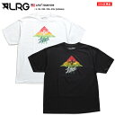 エルアールジー LRG Tシャツ 半袖 ペイズリー柄 バンダナ柄 メンズ レディース 白 黒 L XL 2L LL 2XL 3L XXL 3XL 4L XXXL 4XL 5L XXXXL 大きいサイズ b系 ヒップホップ ストリート系 ファッション ブランド おしゃれ グラデ ラスタ ゆったりサイズ オーバーサイズ D201009