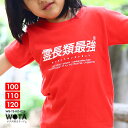霊長類最強 公式 おもしろ Tシャツ 半袖 トップス キッズ 春夏用 赤 キッズファッション 男の子 女の子 子供用 子供 霊長類 日本語 文字 ロゴ 面白い ...