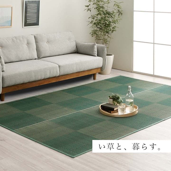 本家屋のい草ラグ 花ござ カーペット 格子柄 ナチュラル シンプル 和室 抗菌防臭 消臭 お手入れ簡単 夏快適さらさら 団地間4.5畳 (約255×255cm）[13]｜アングル2
