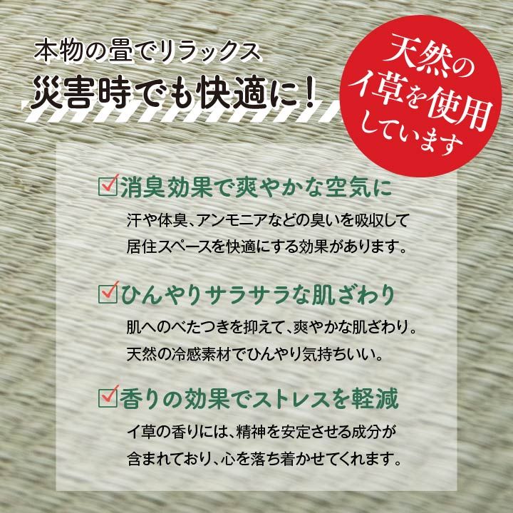 防災 避難 備え ユニット 畳 ベッド 段ボール シングル 約100×200cm 5連[13] honkeya-10885518 本家屋 サンプル画像2
