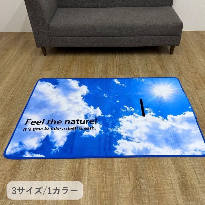 ܲȲ㤨ʪ ڥå 饰 ֥롼 140180cm[13]פβǤʤ3,798ߤˤʤޤ