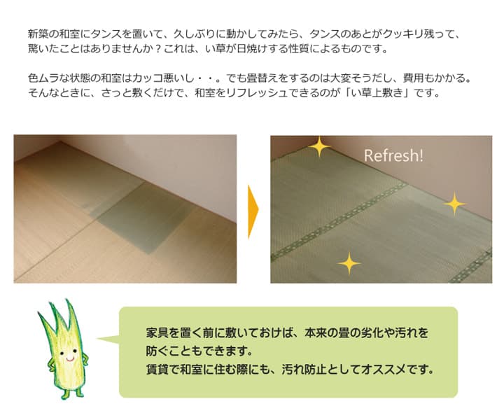 フリーカット い草 上敷き カーペット 『F不知火』 江戸間2畳(約176×176cm)(裏:ウレタン張り)[13] [3]