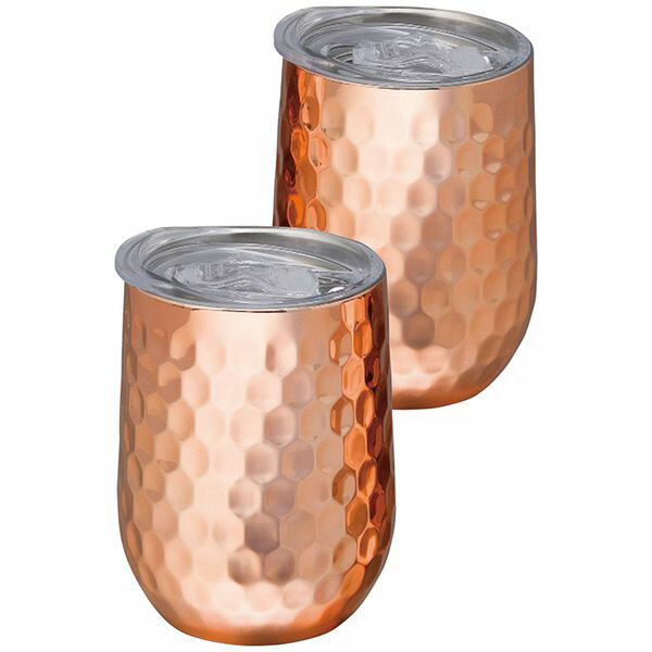 apide ククナ ステンレスタンブラー350ml2客セット(蓋付) KKN-CT350W ギフト 贈り物 送料無料[24]