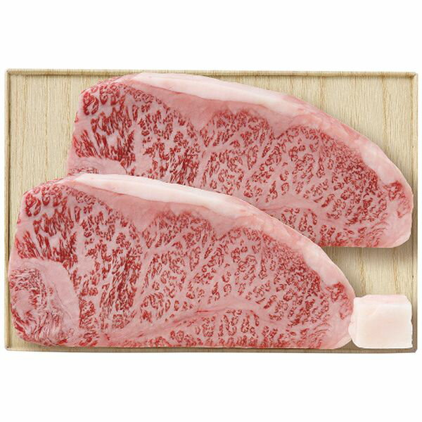 杉本食肉産業 飛騨牛サーロインステーキ用2枚 ギフト 贈り物 送料無料 【産直】[24]