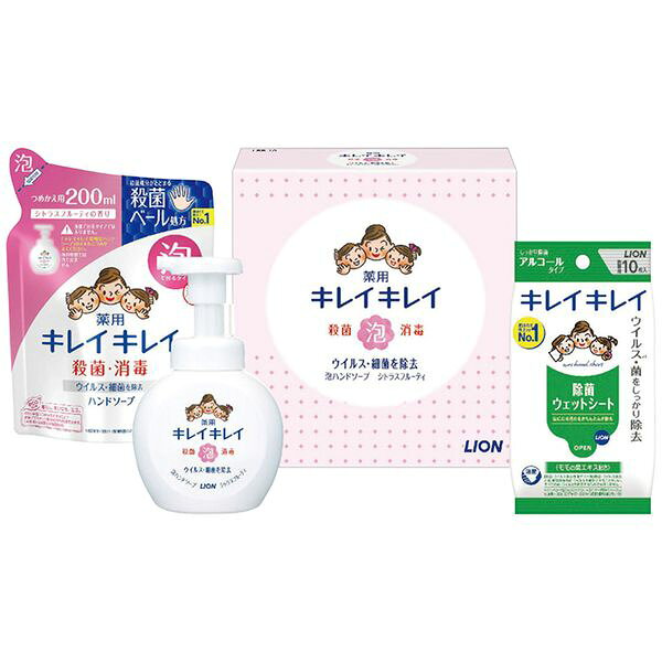 ライオン キレイキレイ薬用泡ハンドソープセット LBB-C ギフト 贈り物 送料無料[24]