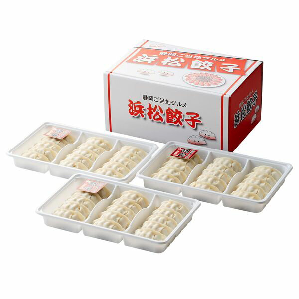 (有)アイエスワイ 浜松餃子 HG-3 ギフト 贈り物 送料無料 【産直】[24]