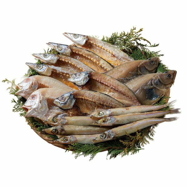株式会社エルスト 父の日 山陰海鮮一夜干しセット 6366-50 ギフト 贈り物 送料無料 【産直】[24]