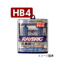 【ポイント4倍】ホワイトソニックS RA53 スタンレー HB4ハロゲンバルブ 99