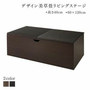 Tatami - 国産 収納付きデザイン美草畳リビングステージ 風凛 フーリン 畳ボックス収納 120×60cm ハイタイプ 小上がり [00]