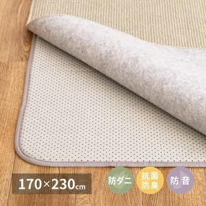 両面すべり止め付き ふっくらアンダーラグ 抗菌機能付き 170×230cm[00]