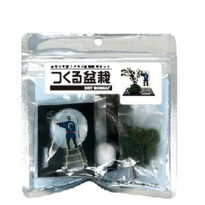 つくる盆栽　ドライ盆栽作成キット　盆栽　キット[02]
